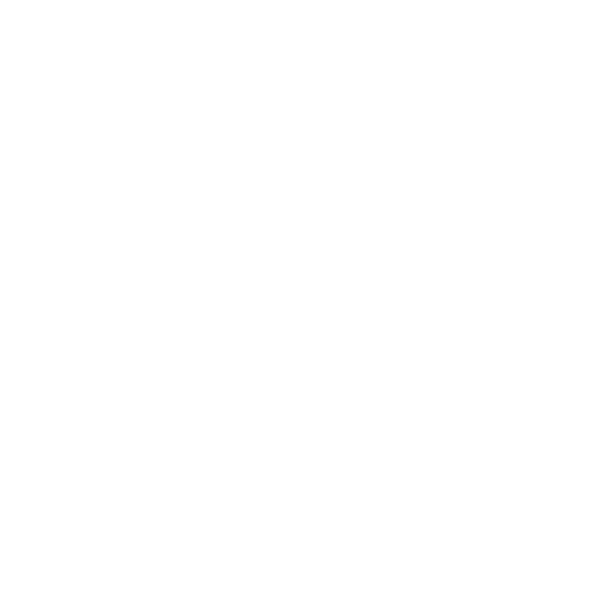 HailBytes logo light variant